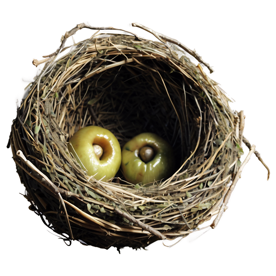 Bird Nest Side View Png Mqu6