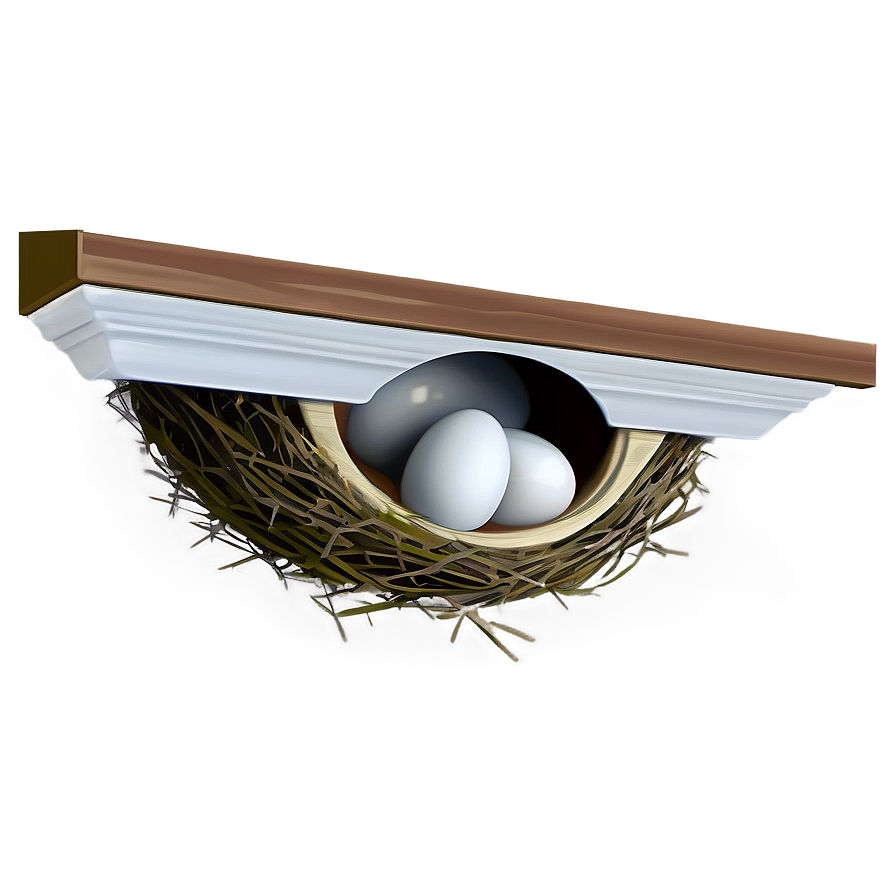 Bird Nest Under Eaves Png 06212024