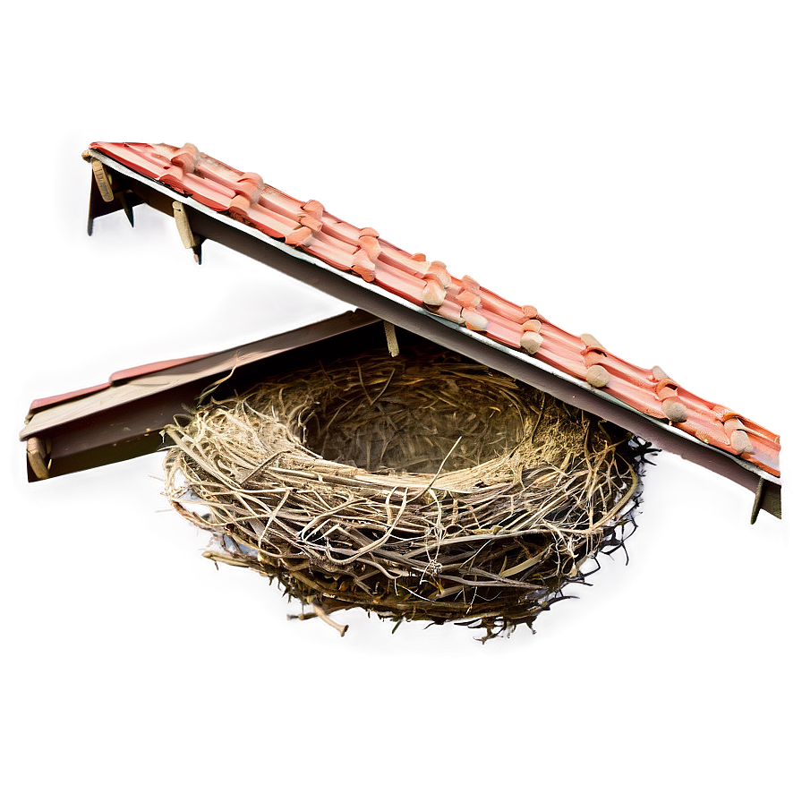 Bird Nest Under Eaves Png Edd11