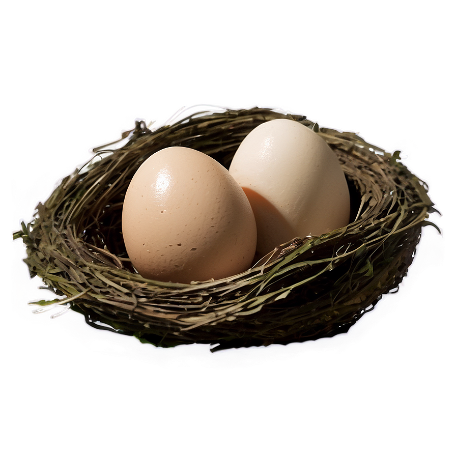 Bird Nest With Eggs Png 43