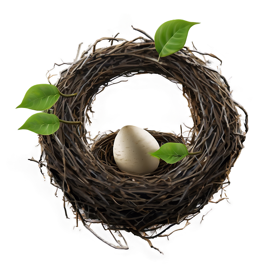 Bird Nest With Leaves Png 06212024