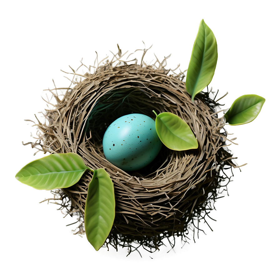 Bird Nest With Leaves Png 72