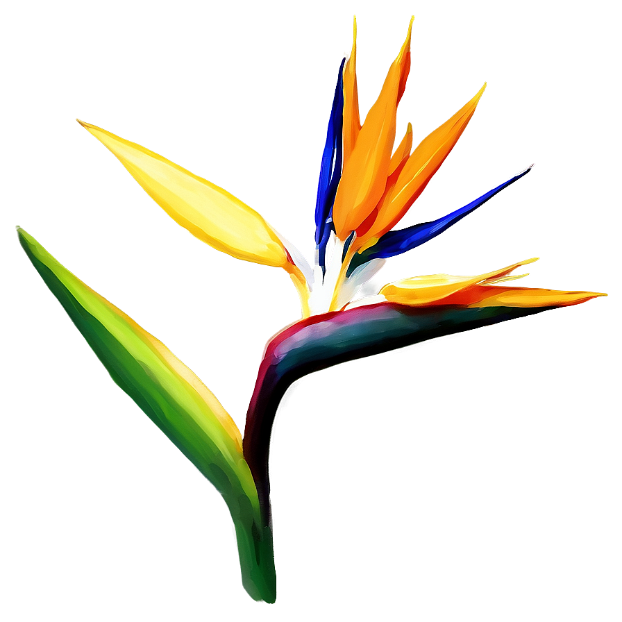 Bird Of Paradise Botanical Print Png Xqu97