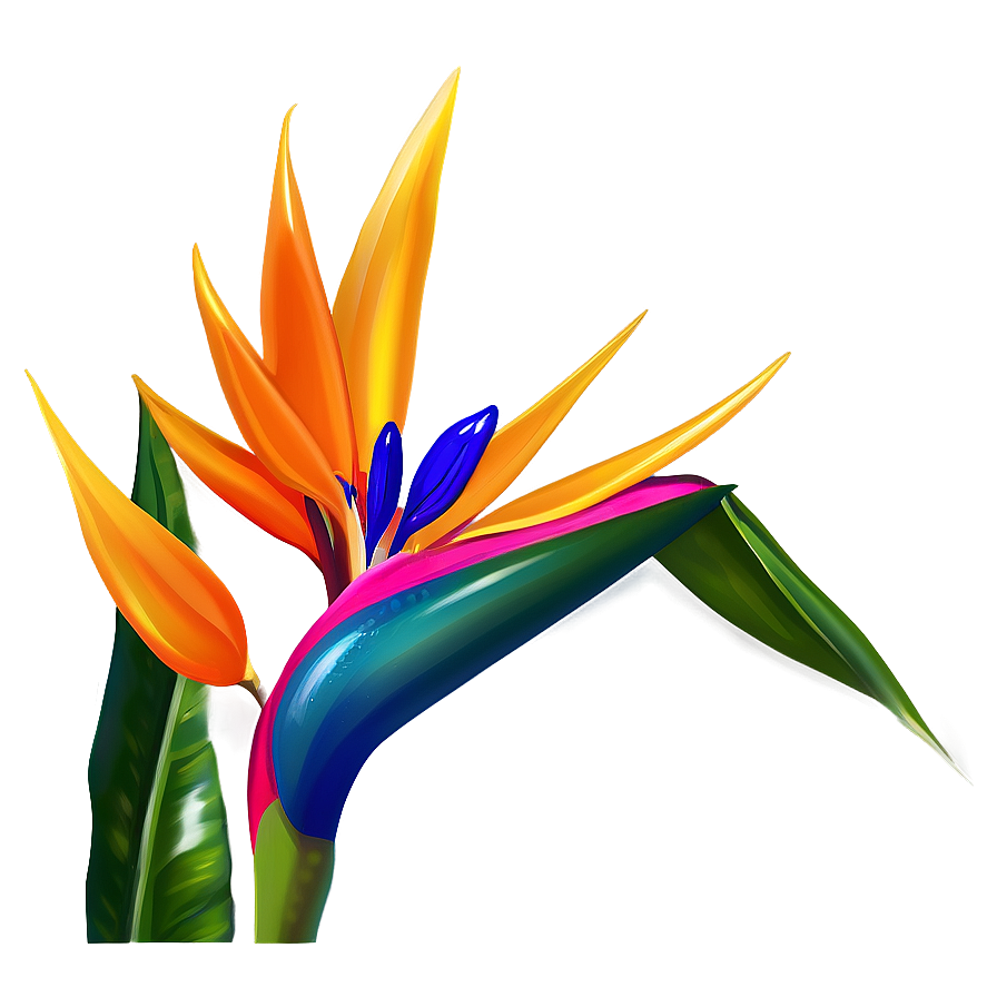 Bird Of Paradise Decoration Png 23