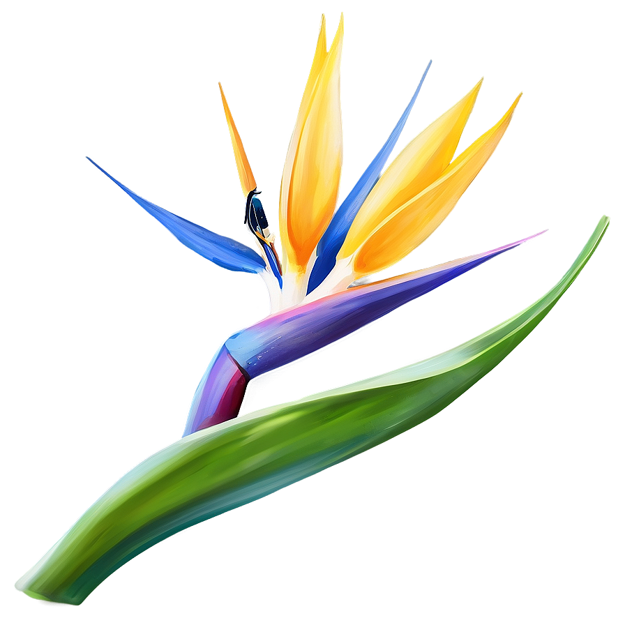 Bird Of Paradise Flower Png Ifu37