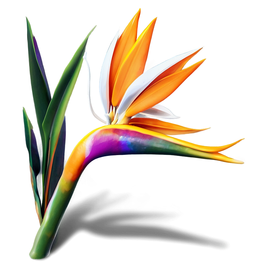 Bird Of Paradise Holiday Decoration Png 06212024