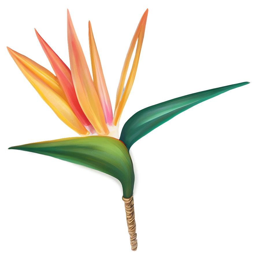 Bird Of Paradise Holiday Decoration Png Qvo