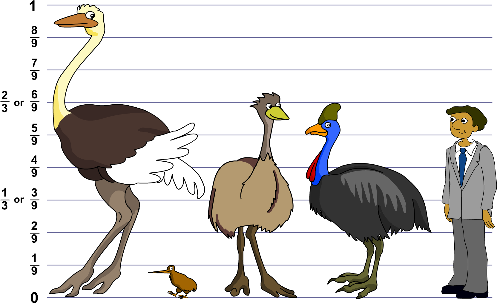 Bird Size Comparison Chart