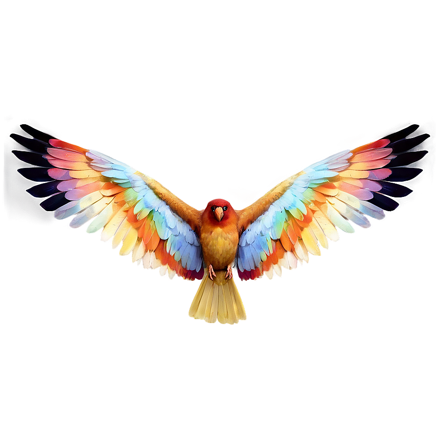 Bird Wings Spread Png Ian