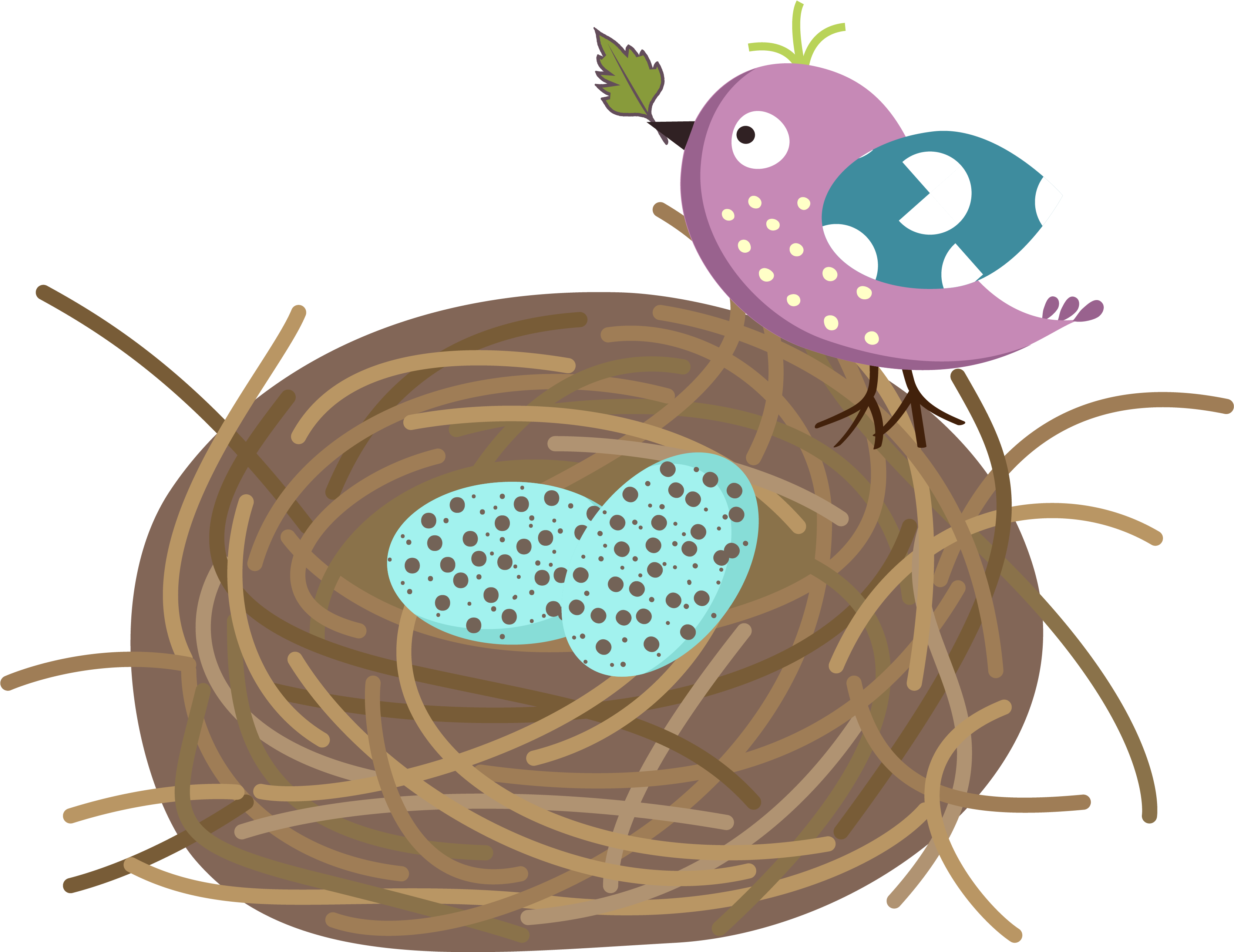 Birdand Eggsin Nest Illustration