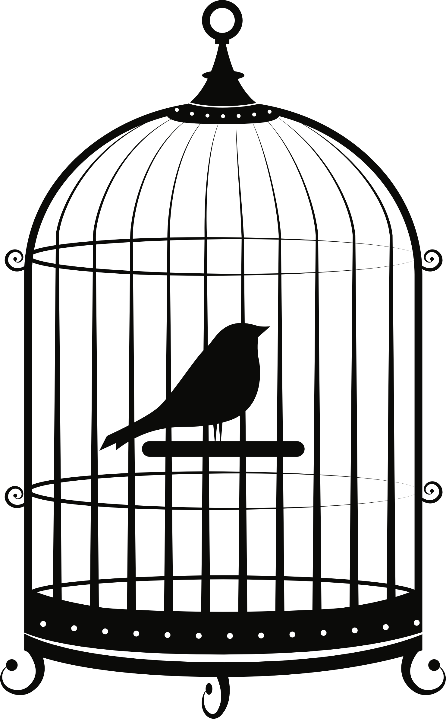 Birdin Cage Silhouette