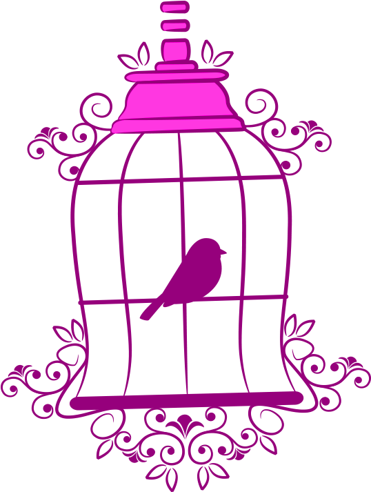 Birdin Decorative Cage Illustration