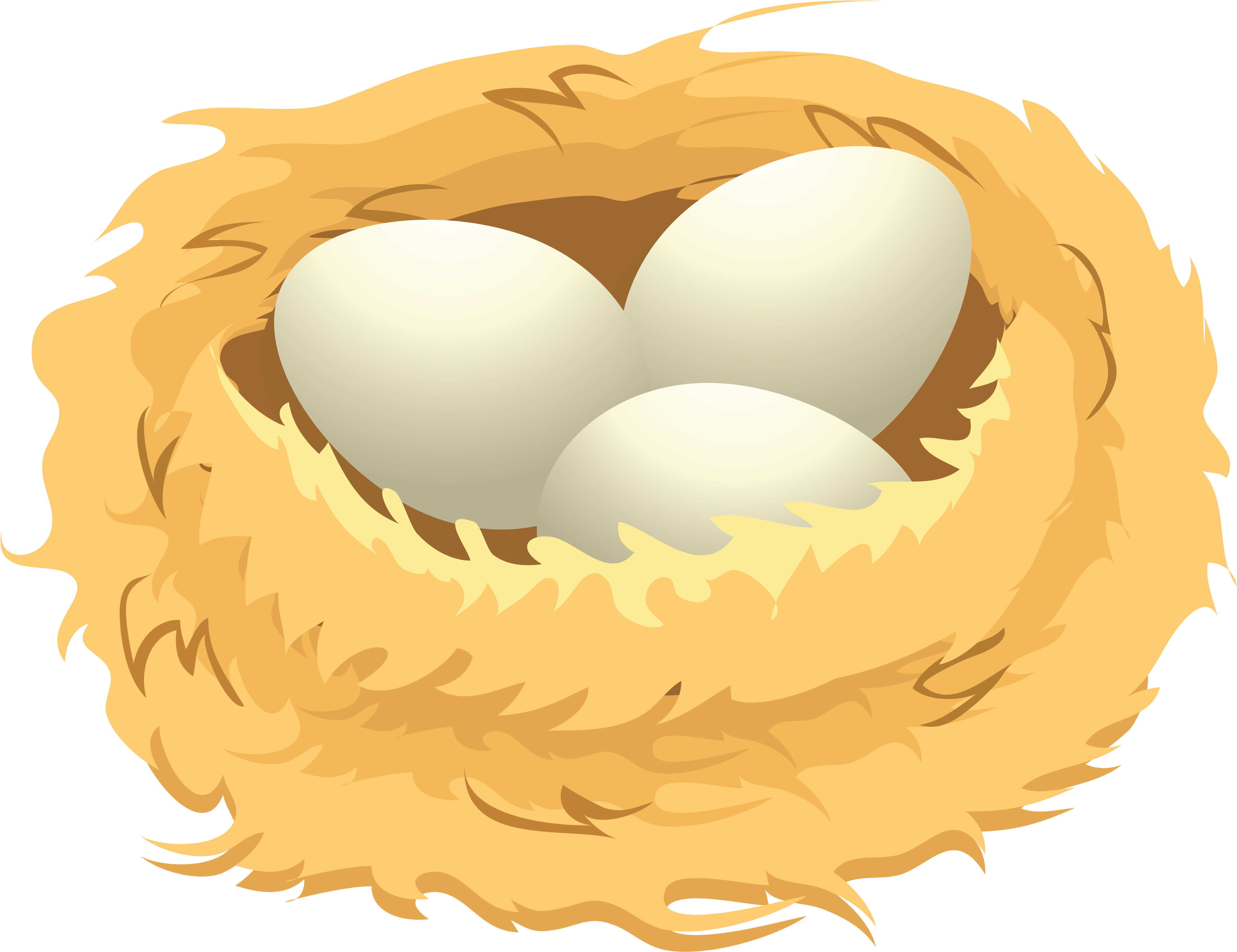 Birds Eggsin Nest Illustration