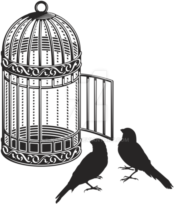 Birdsand Open Cage Illustration