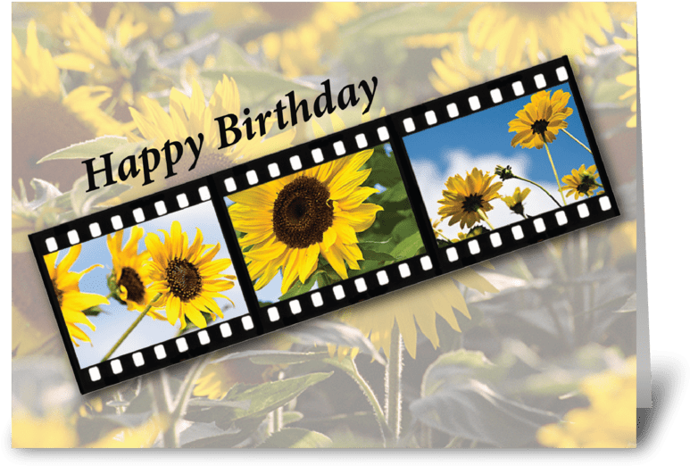 Birthday Greetings Filmstripwith Sunflowers