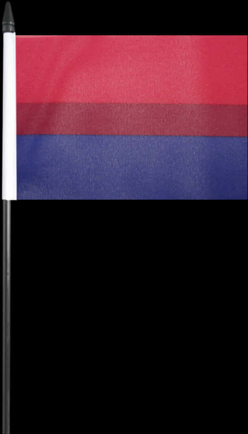 Bisexual Pride Flag Displayed