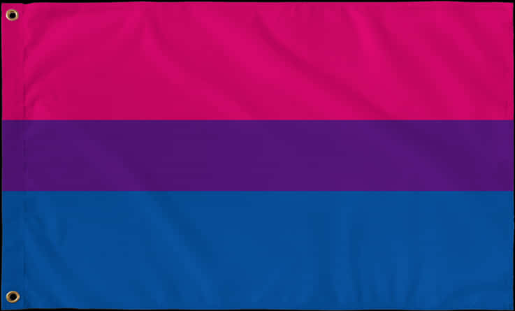 Bisexual Pride Flag Displayed