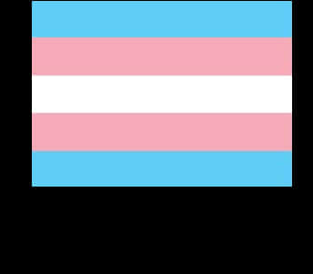 Bisexual Pride Flag Graphic