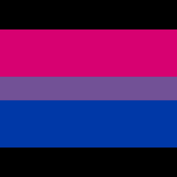 Bisexual Pride Flag Graphic