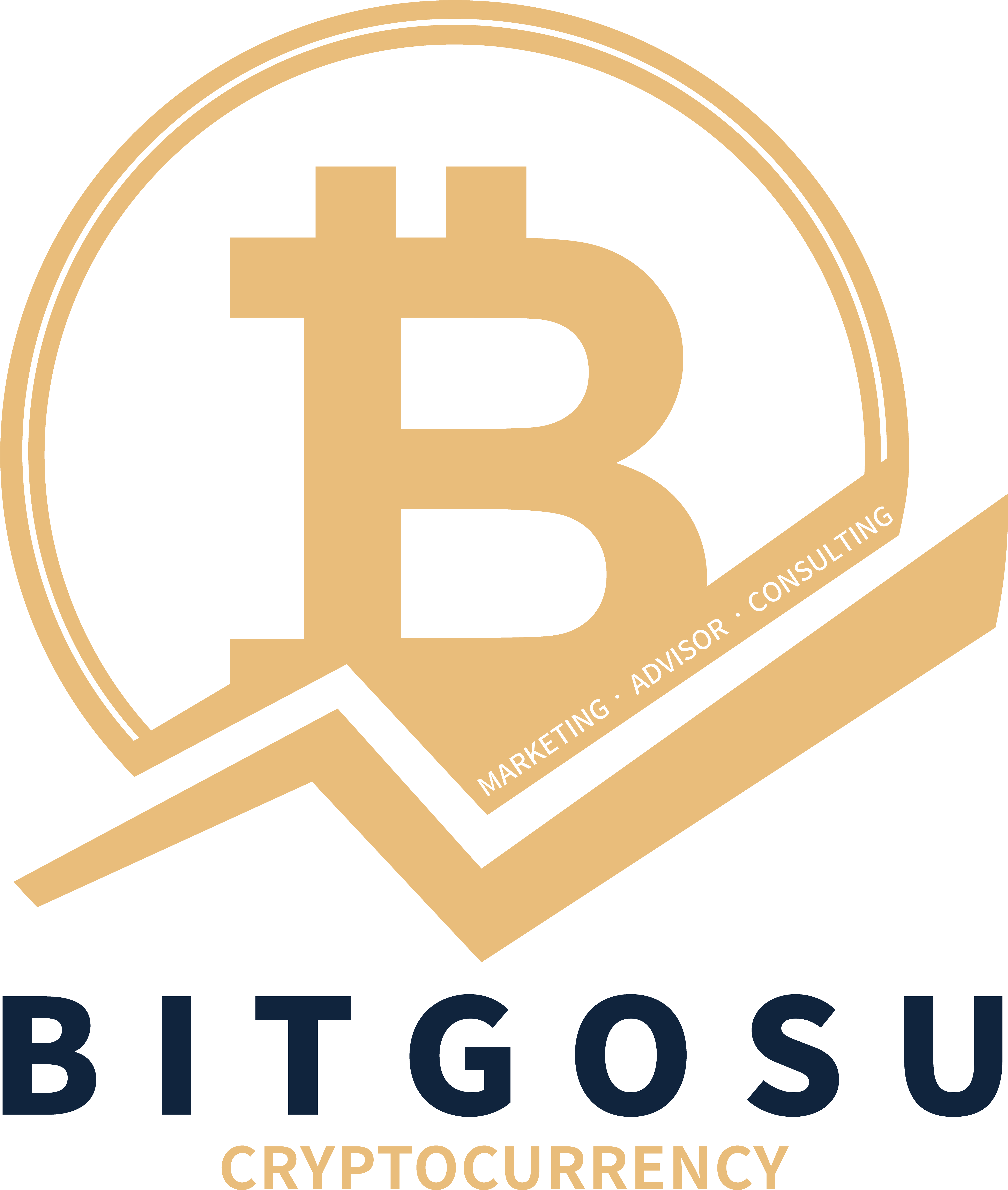 Bitcoin Consulting Logo