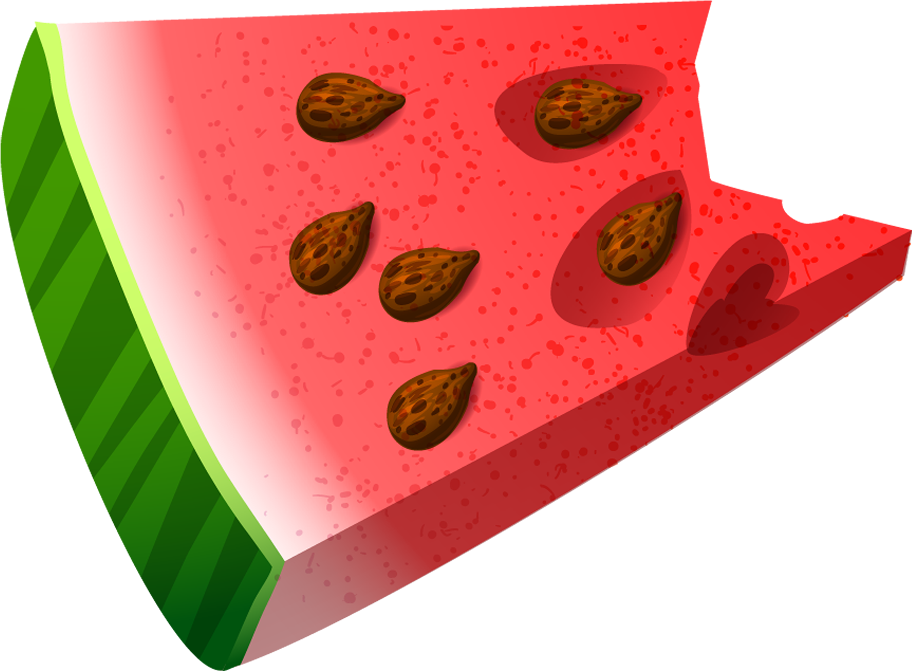 Bitten Watermelon Slice Illustration