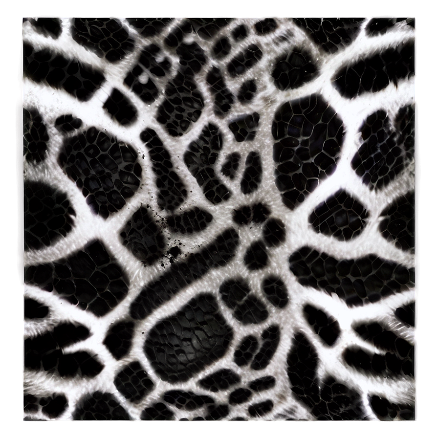 Black And White Animal Print Png 06252024