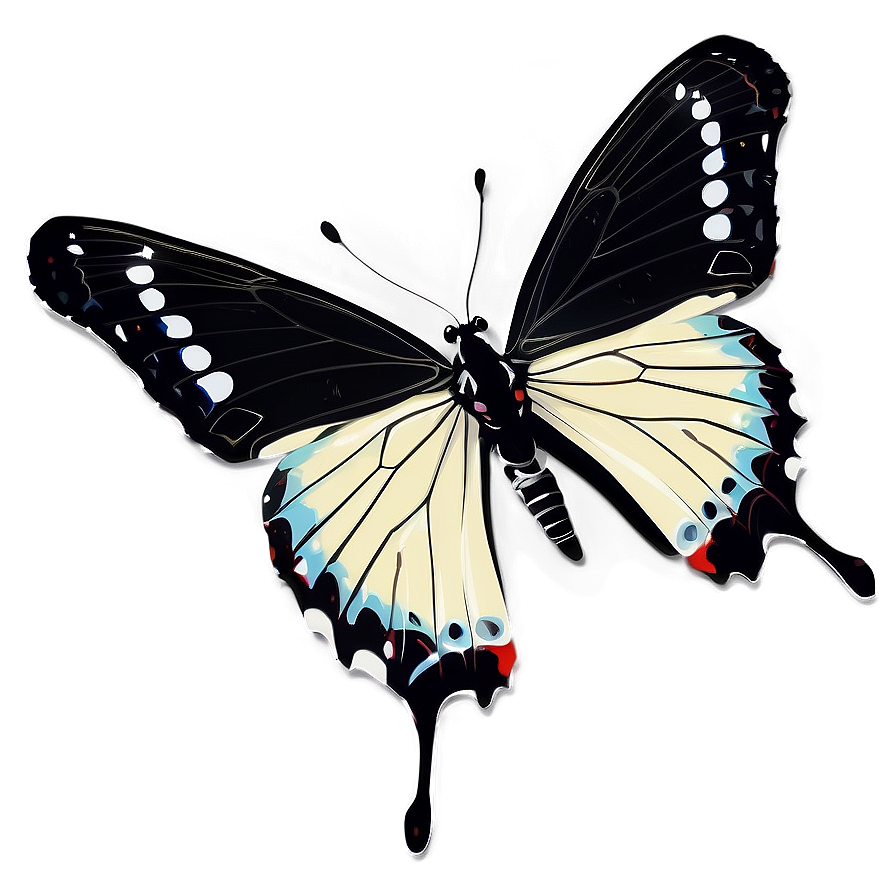 Black And White Butterfly Png 04292024