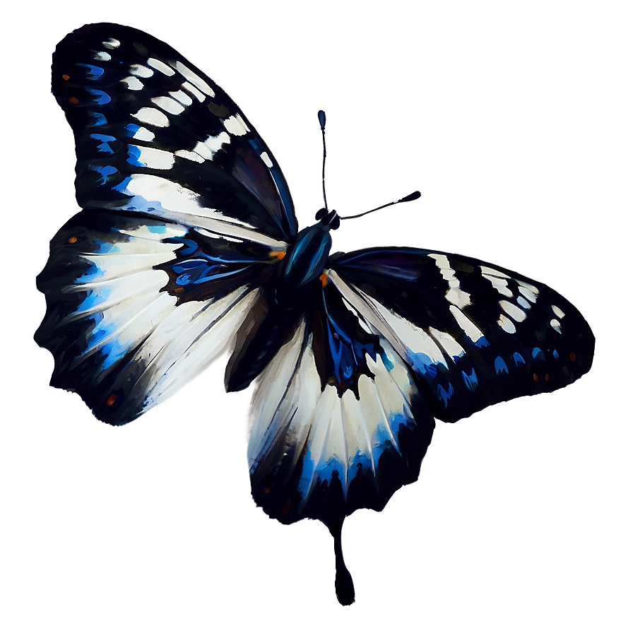 Black And White Butterfly Png Odd86