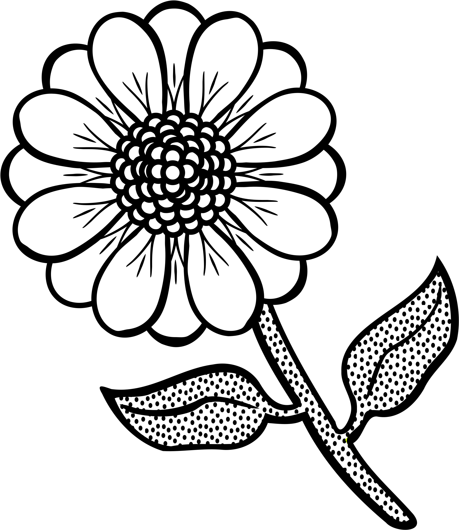 Black And White Floral Illustration