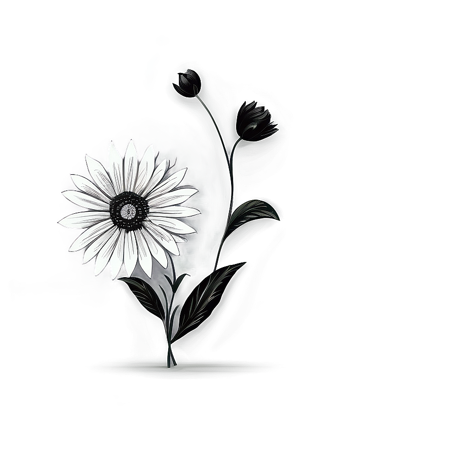 Black And White Flower Drawing Png Uno