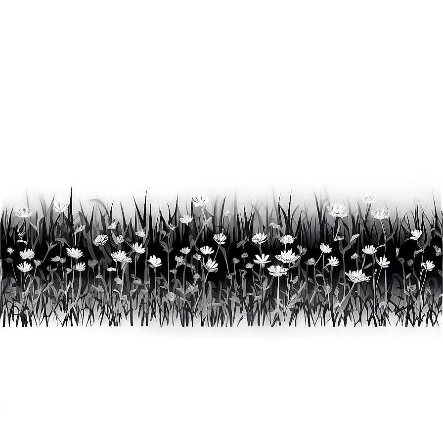 Black And White Flower Field Png Ltw88
