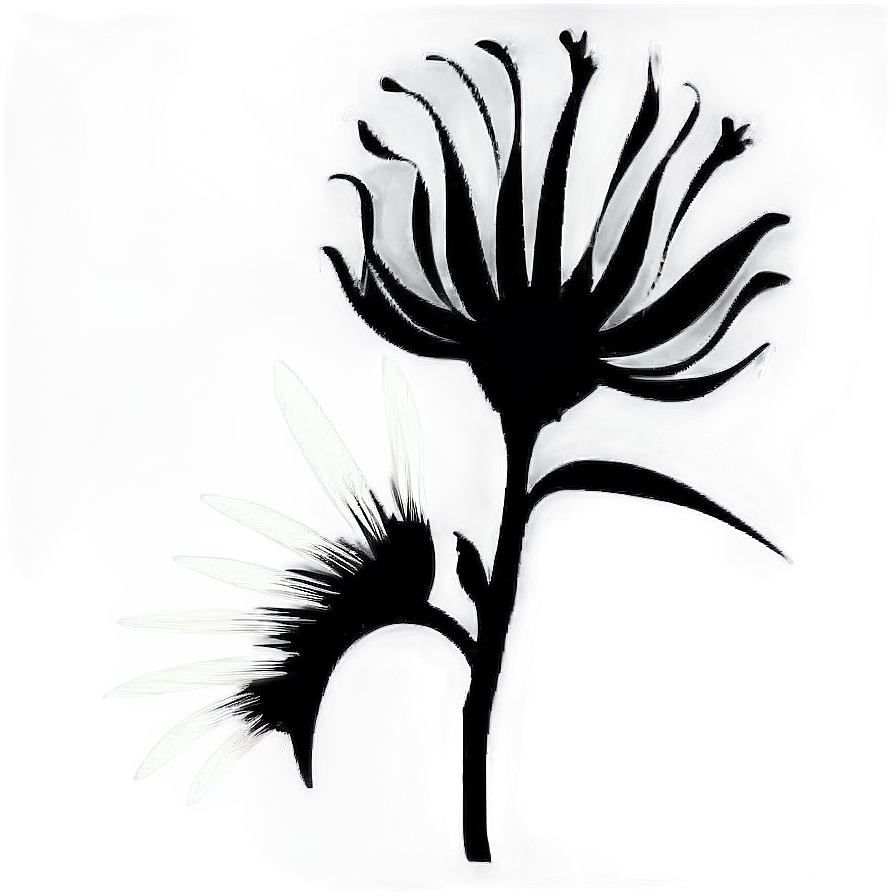 Black And White Flower Silhouette Png Tya96