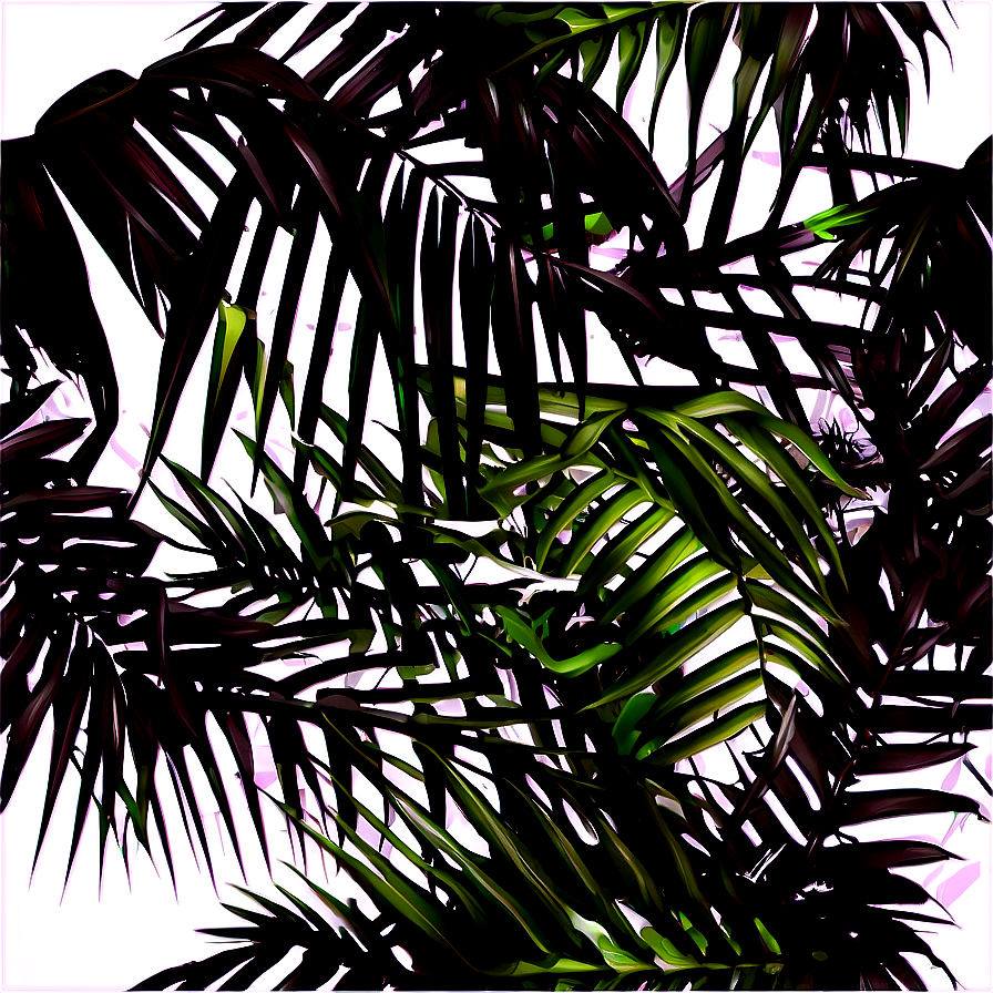 Black And White Palm Leaves Png Xil40