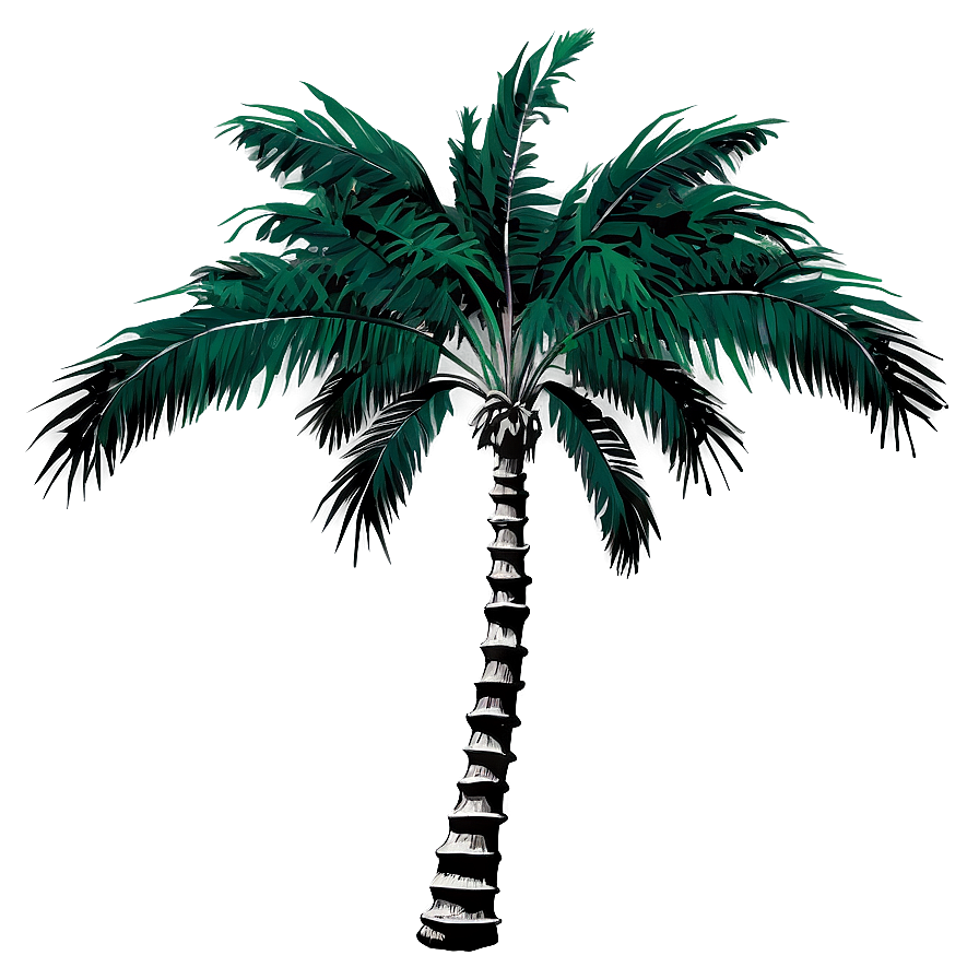 Black And White Palm Tree Png 53