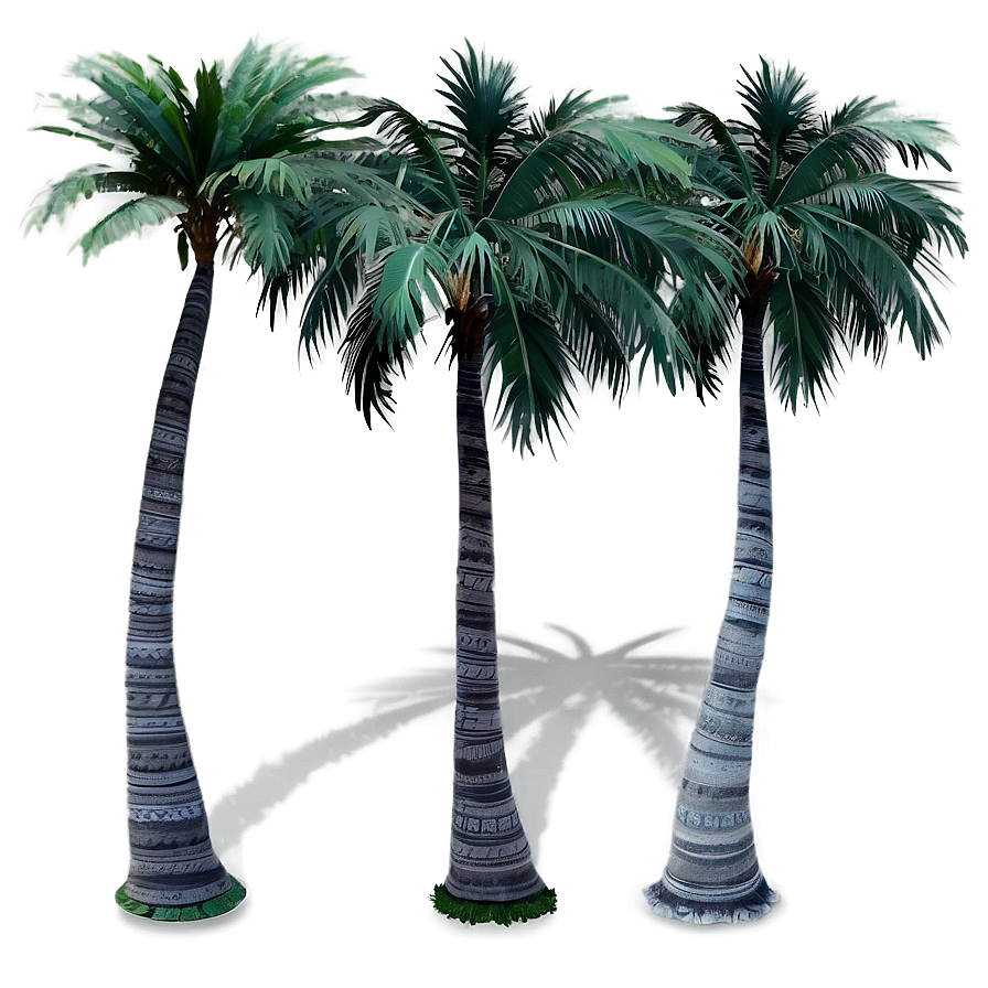 Black And White Palm Trees Png 76