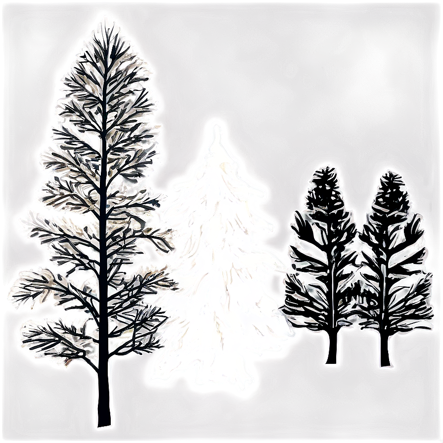 Black And White Pine Trees Png 27