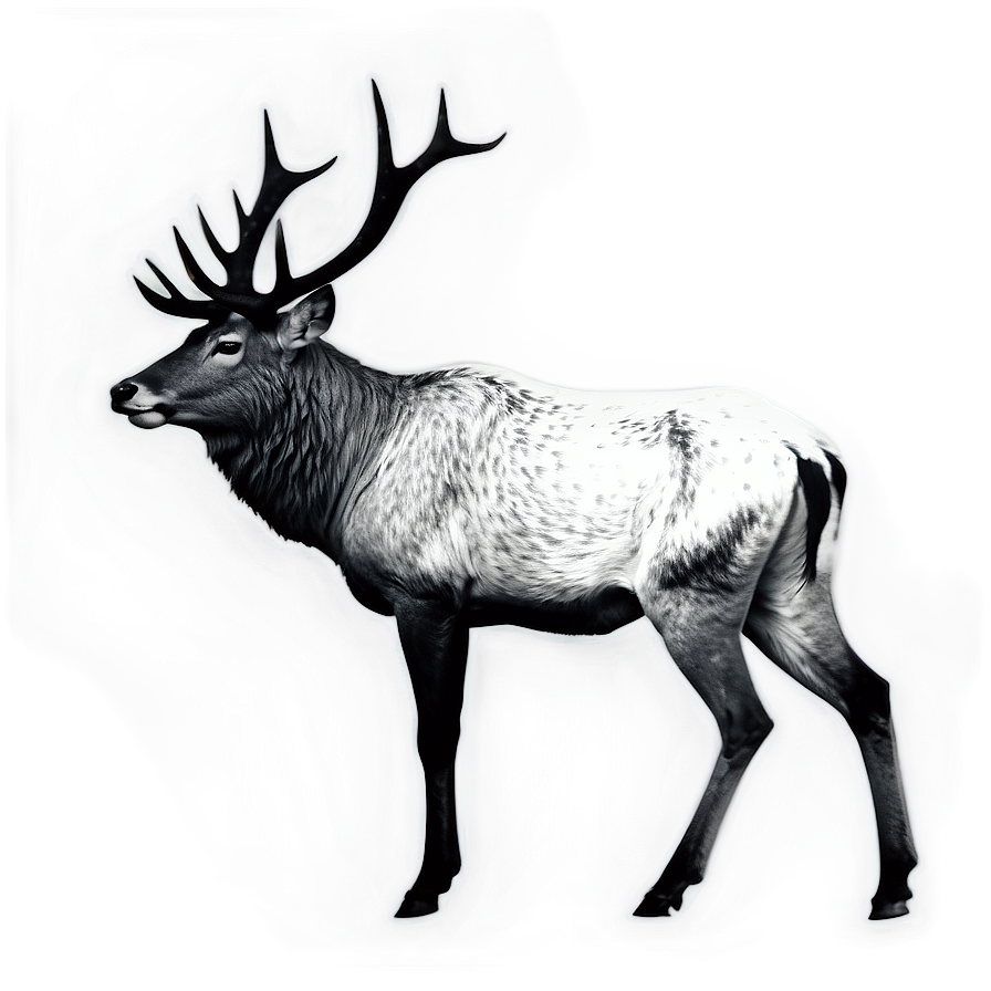 Black And White Stag Png Cta21