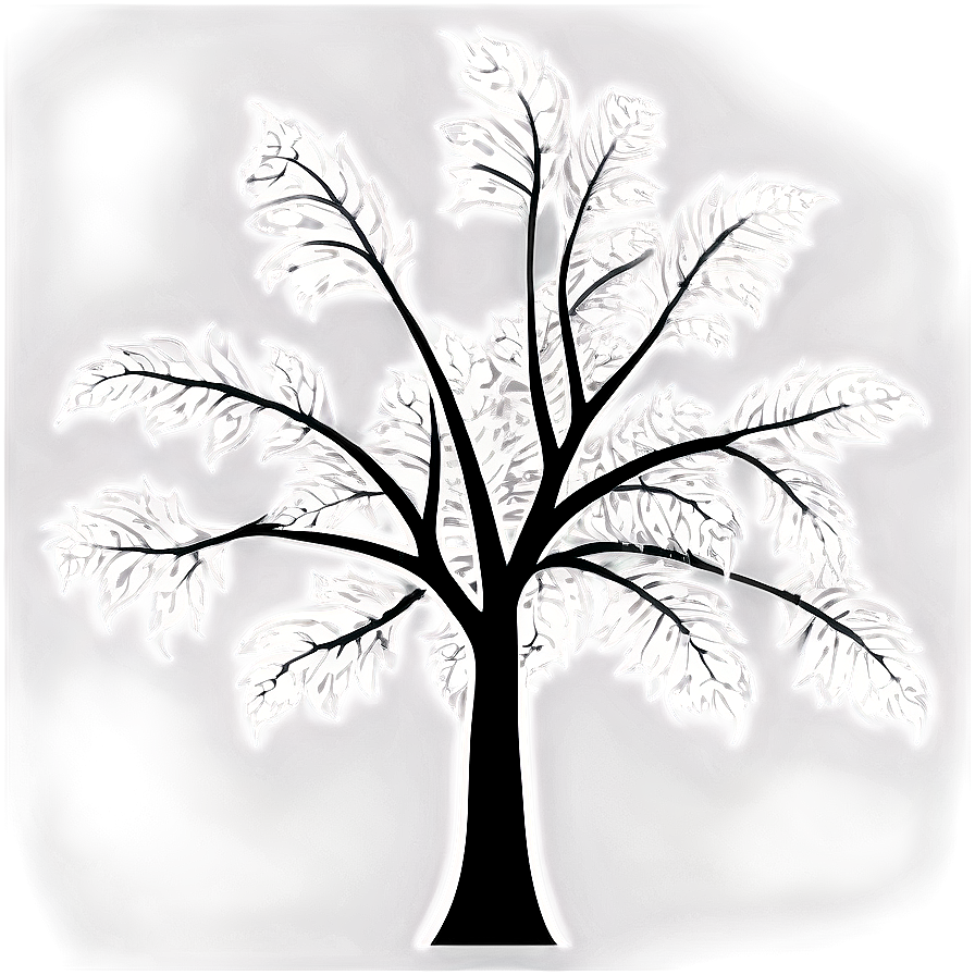 Black And White Tree Outline Png 68