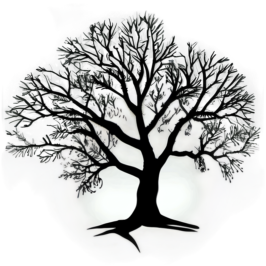 Black And White Tree Silhouette Png 06252024