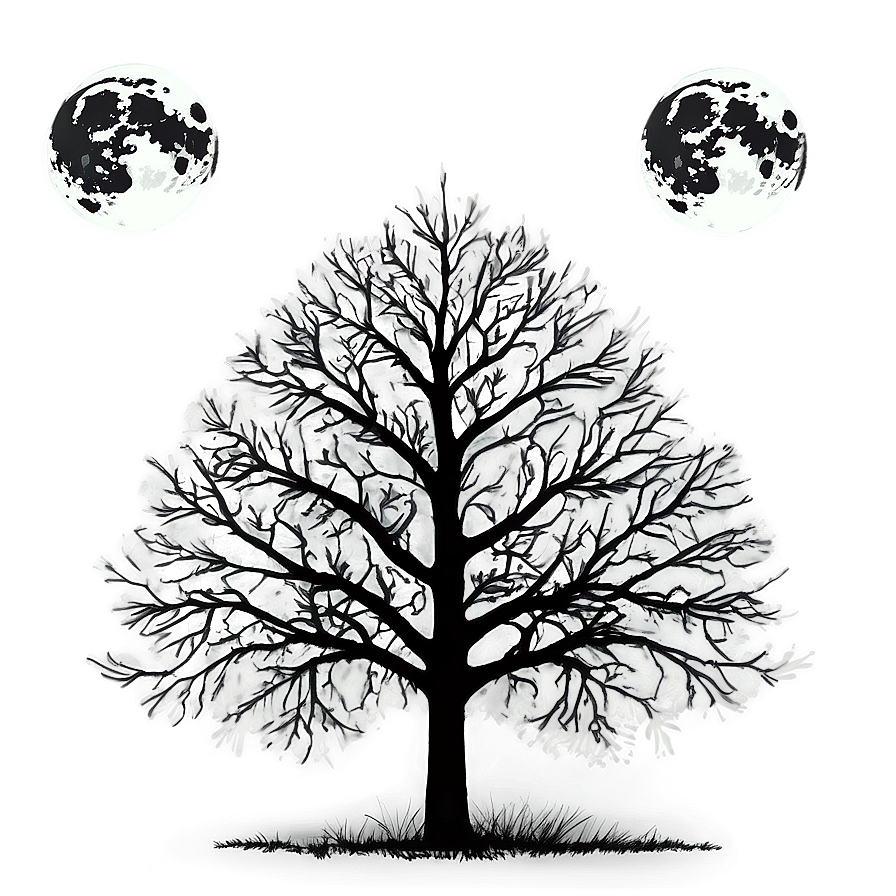 Black And White Tree With Full Moon Png 35