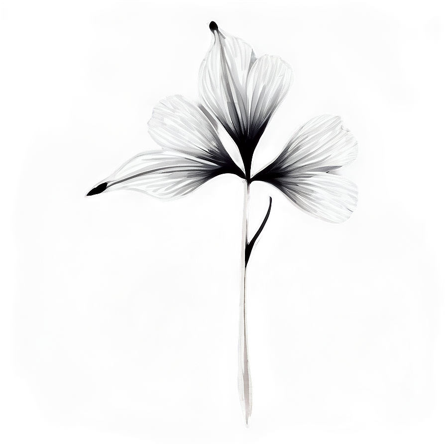 Black And White Watercolor Flower Png 2