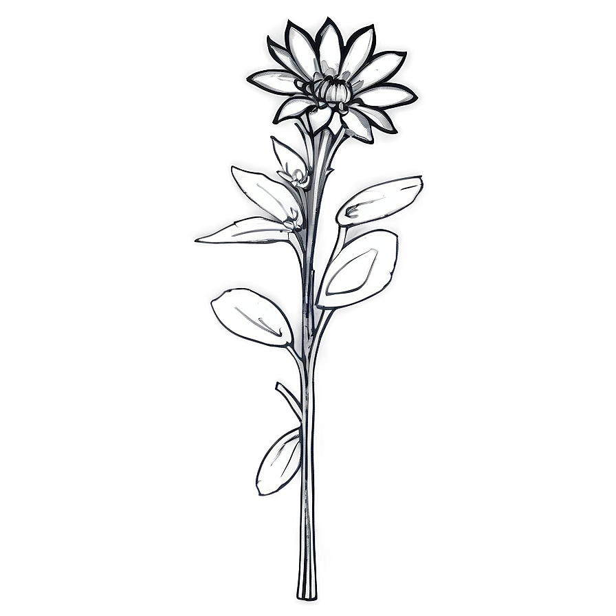 Black And White Wildflowers Png Wgy36