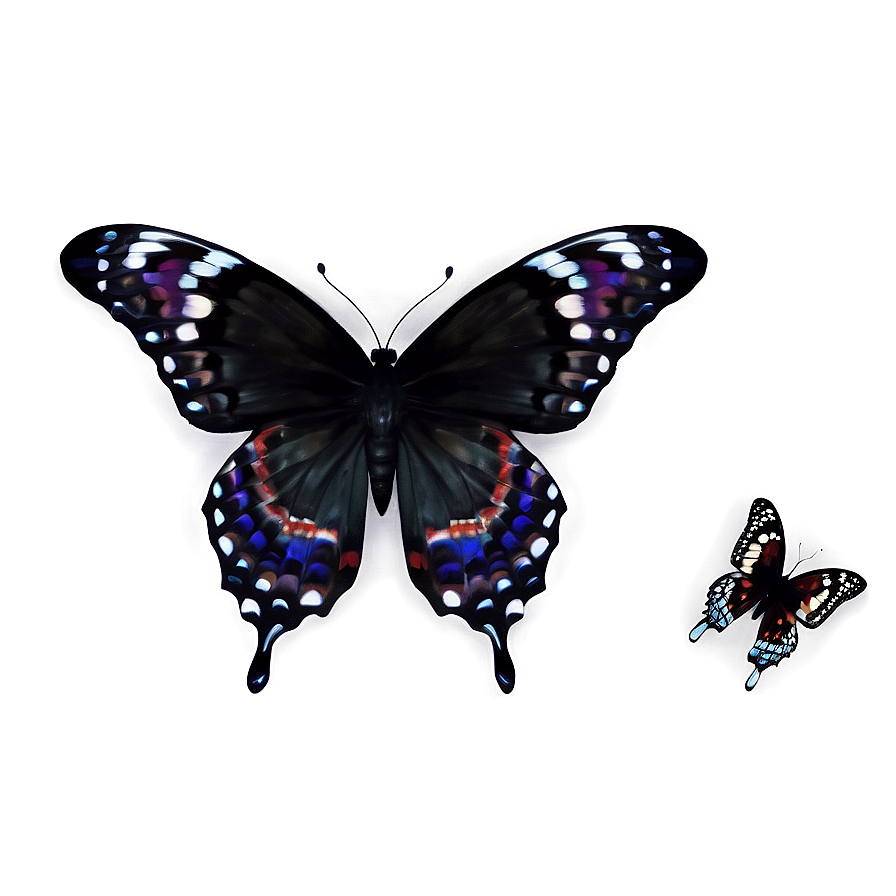 Black Butterfly Effect Png 06252024