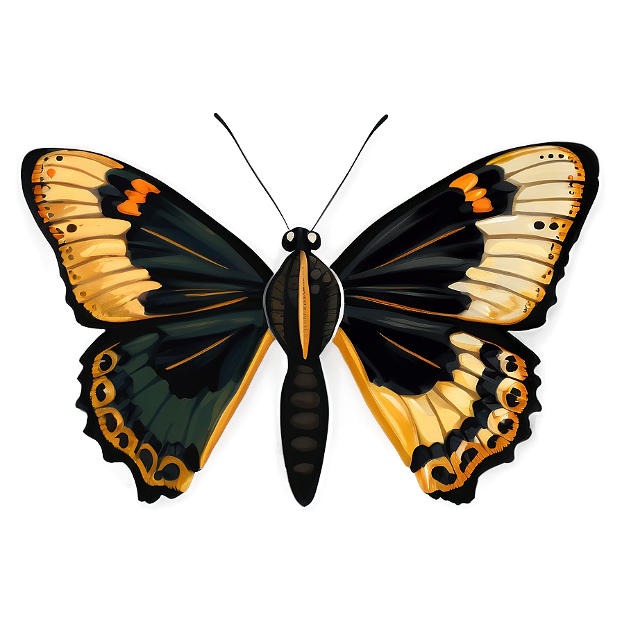 Black Butterfly Illustration Png Efe6