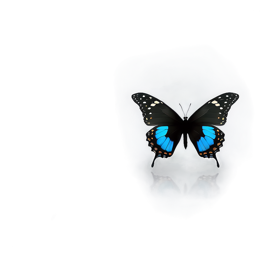 Black Butterfly Profile Png Tah