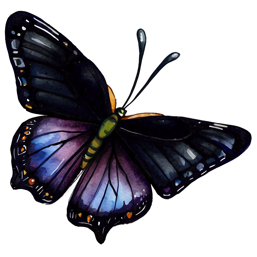 Black Butterfly Watercolor Png Ecg