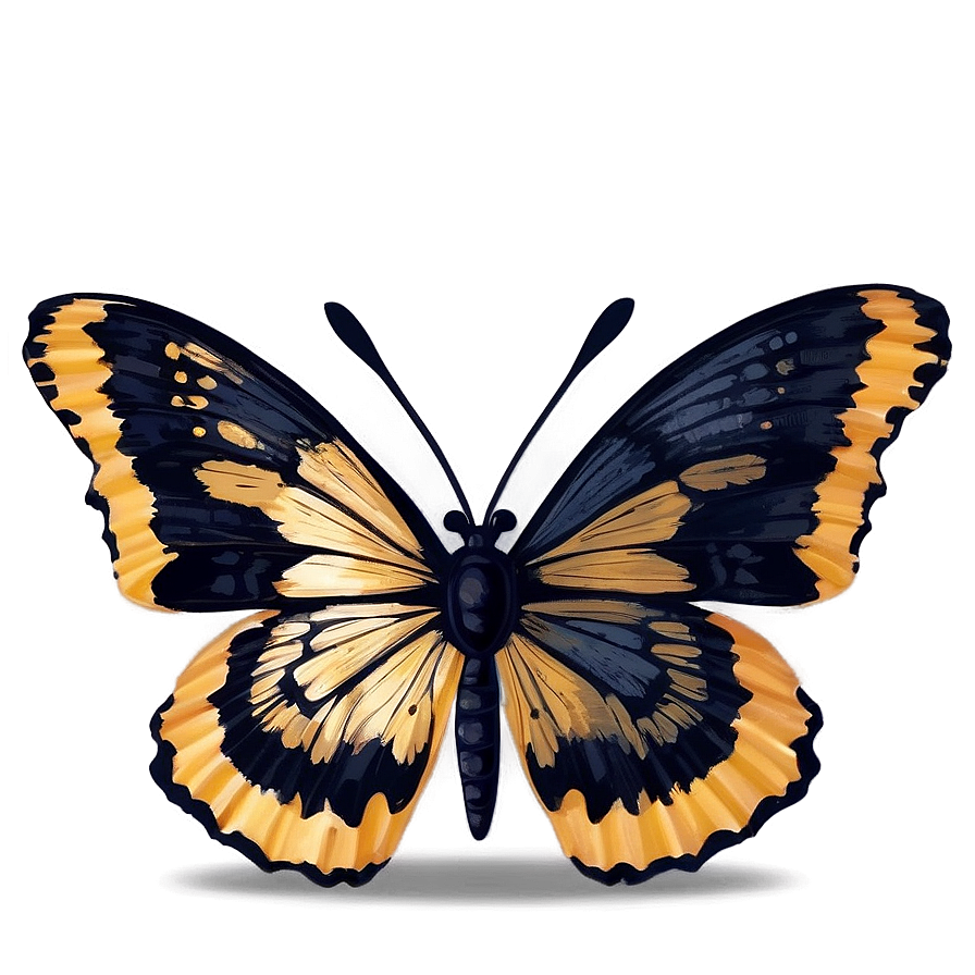 Black Butterfly With Golden Accents Png Acm22