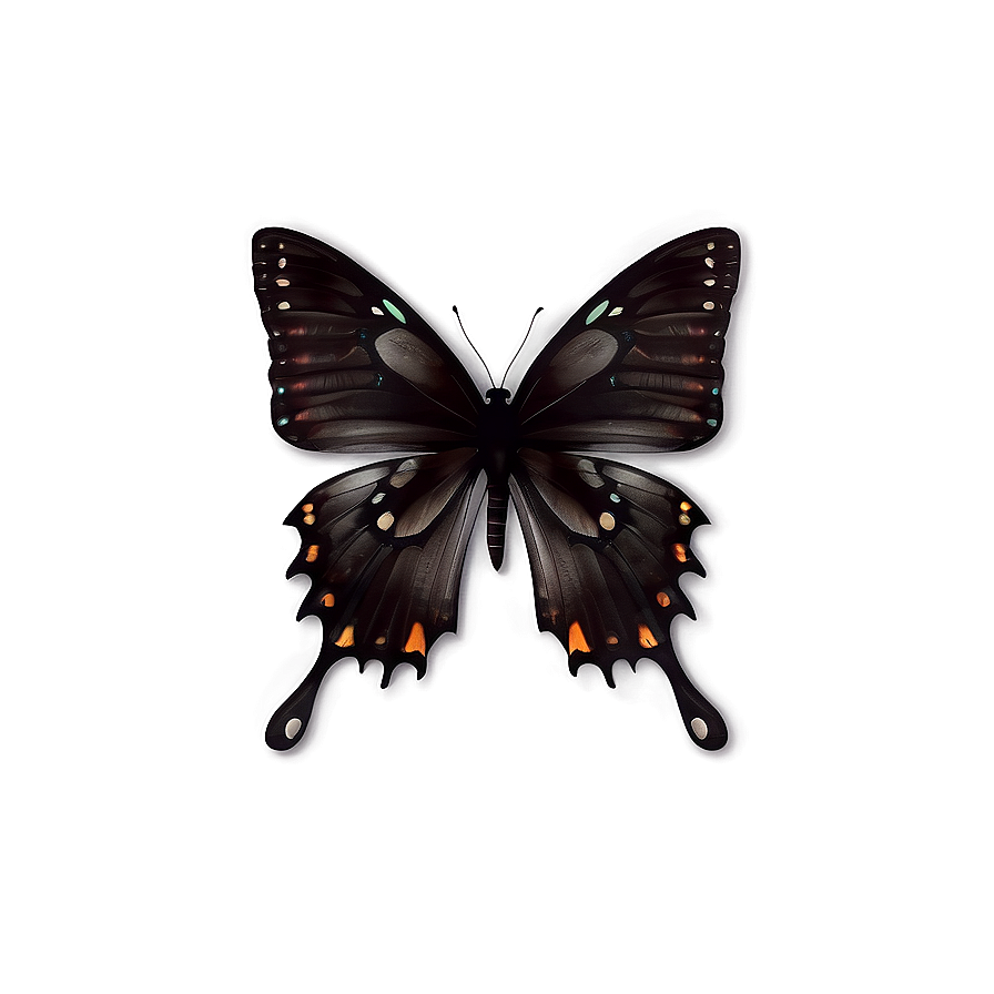 Black Butterfly With Transparent Background Png Pjt30