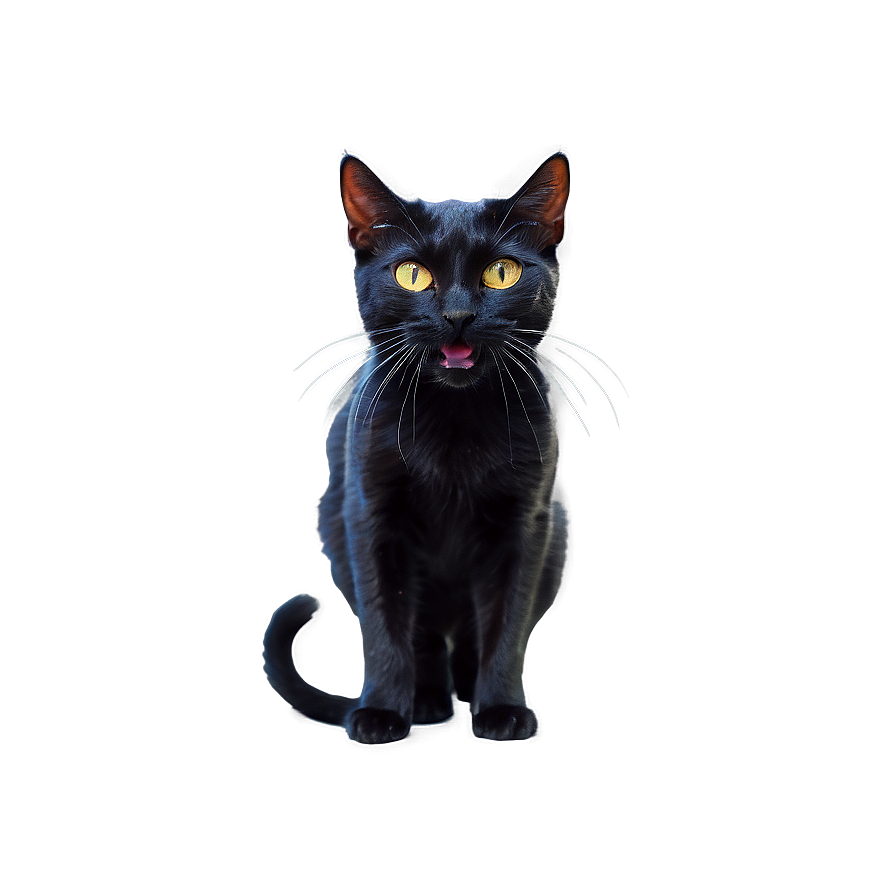 Black Cat Hissing Png 7