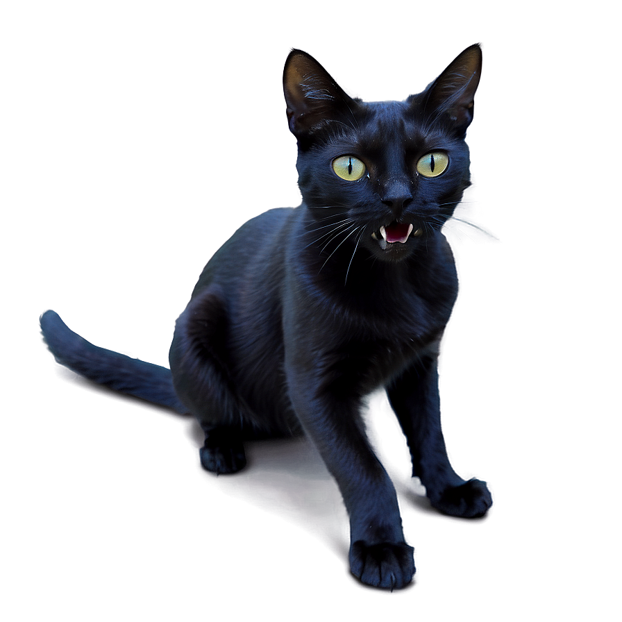 Black Cat Hissing Png Nra